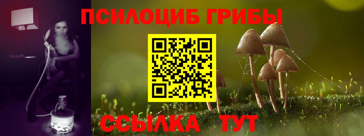 Галлюциногенные грибы MAGIC MUSHROOMS Чебаркуль